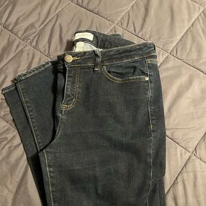 Lane Bryant Women's Denim Skinny Jeans